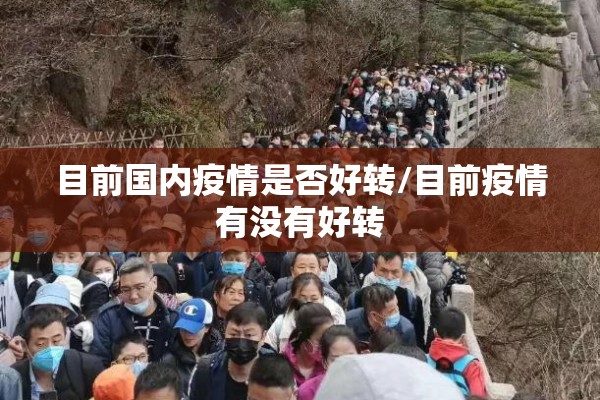 目前国内疫情是否好转/目前疫情有没有好转 目前国内疫情是否好转/目前疫情有没有好转