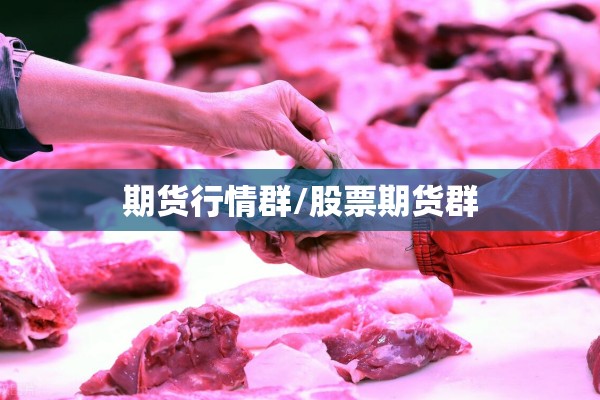 期货行情群/股票期货群 期货行情群/股票期货群