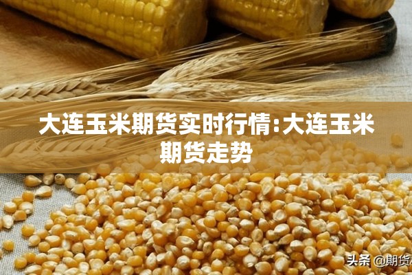 大连玉米期货实时行情:大连玉米期货走势 大连玉米期货实时行情:大连玉米期货走势