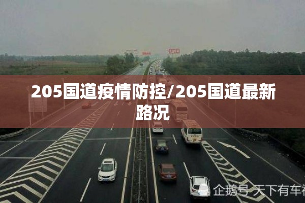 205国道疫情防控/205国道最新路况