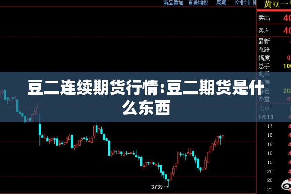 豆二连续期货行情:豆二期货是什么东西