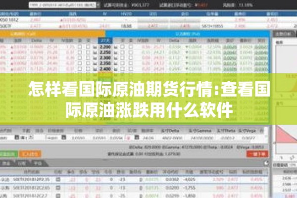 怎样看国际原油期货行情:查看国际原油涨跌用什么软件 怎样看国际原油期货行情:查看国际原油涨跌用什么软件