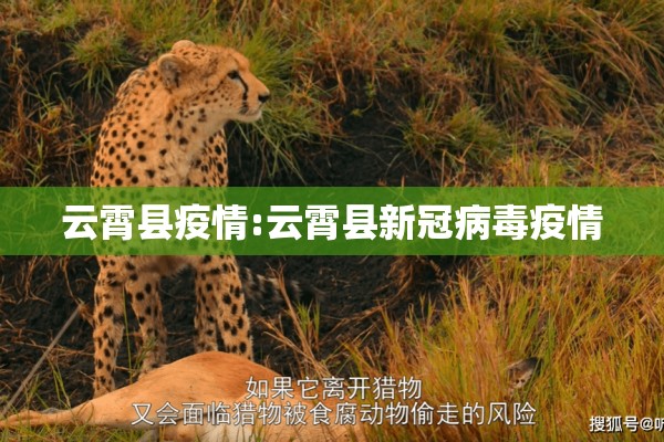 云霄县疫情:云霄县新冠病毒疫情