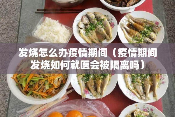 发烧怎么办疫情期间(疫情期间发烧如何就医会被隔离吗) 发烧怎么办疫情期间(疫情期间发烧如何就医会被隔离吗)