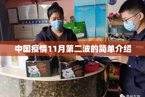 中国疫情11月第二波的简单介绍 中国疫情11月第二波的简单介绍