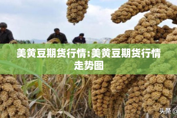 美黄豆期货行情:美黄豆期货行情走势图