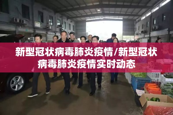 新型冠状病毒肺炎疫情/新型冠状病毒肺炎疫情实时动态 新型冠状病毒肺炎疫情/新型冠状病毒肺炎疫情实时动态