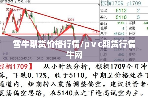 雪牛期货价格行情/pⅴc期货行情牛网