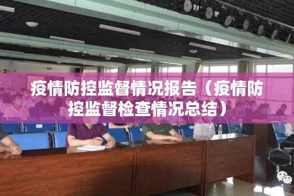 疫情防控监督情况报告（疫情防控监督检查情况总结）