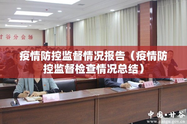 疫情防控监督情况报告（疫情防控监督检查情况总结）
