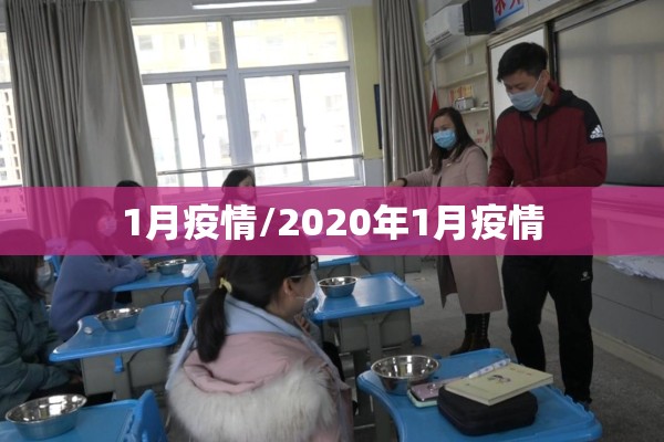 1月疫情/2020年1月疫情