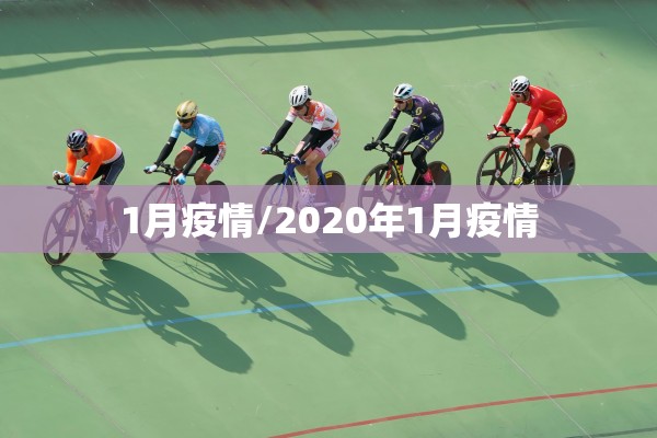 1月疫情/2020年1月疫情