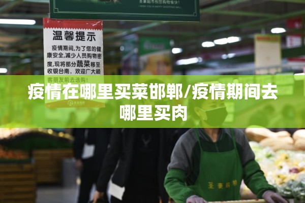 疫情在哪里买菜邯郸/疫情期间去哪里买肉