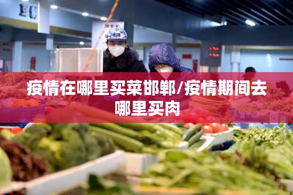 疫情在哪里买菜邯郸/疫情期间去哪里买肉 疫情在哪里买菜邯郸/疫情期间去哪里买肉