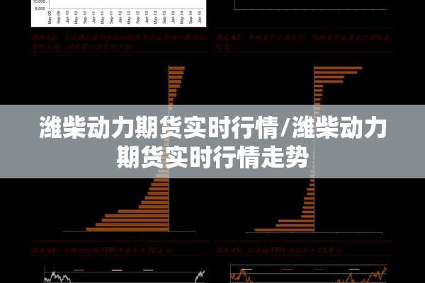 潍柴动力期货实时行情/潍柴动力期货实时行情走势