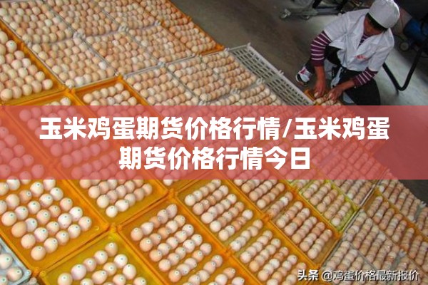 玉米鸡蛋期货价格行情/玉米鸡蛋期货价格行情今日 玉米鸡蛋期货价格行情/玉米鸡蛋期货价格行情今日