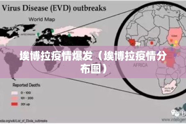 埃博拉疫情爆发（埃博拉疫情分布图）
