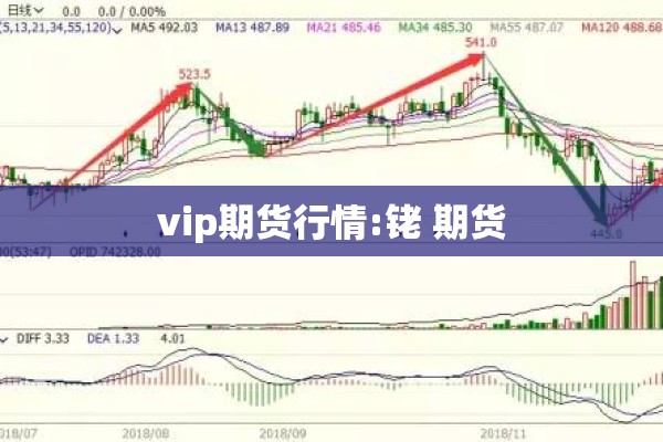 vip期货行情:铑 期货