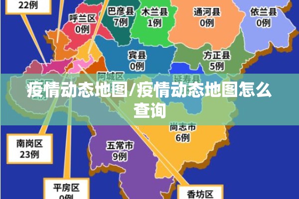 疫情动态地图/疫情动态地图怎么查询