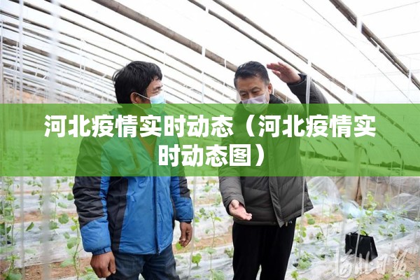 河北疫情实时动态(河北疫情实时动态图) 河北疫情实时动态(河北疫情实时动态图)