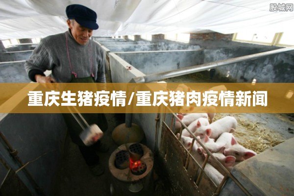 重庆生猪疫情/重庆猪肉疫情新闻 重庆生猪疫情/重庆猪肉疫情新闻