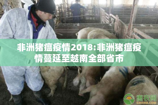 非洲猪瘟疫情2018:非洲猪瘟疫情蔓延至越南全部省市 非洲猪瘟疫情2018:非洲猪瘟疫情蔓延至越南全部省市