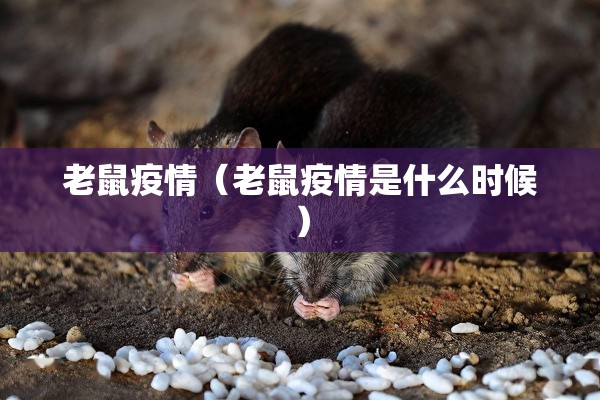 老鼠疫情(老鼠疫情是什么时候) 老鼠疫情(老鼠疫情是什么时候)