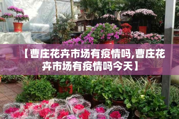 【曹庄花卉市场有疫情吗,曹庄花卉市场有疫情吗今天】 【曹庄花卉市场有疫情吗,曹庄花卉市场有疫情吗今天】