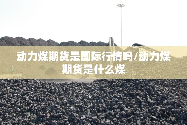动力煤期货是国际行情吗/动力煤期货是什么煤