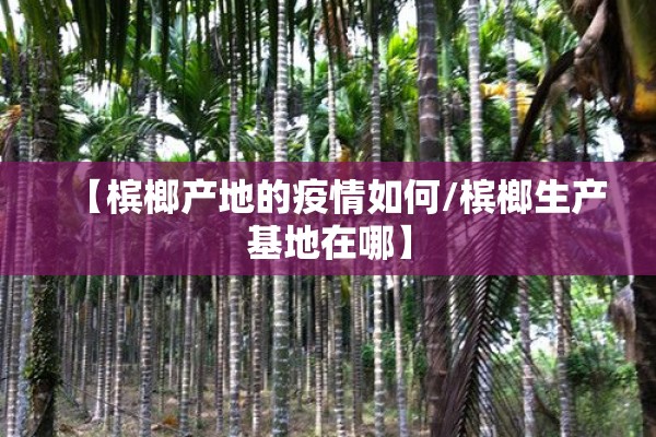 【槟榔产地的疫情如何/槟榔生产基地在哪】 【槟榔产地的疫情如何/槟榔生产基地在哪】