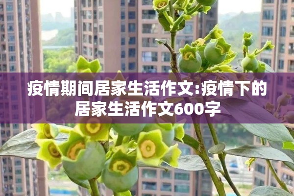疫情期间居家生活作文:疫情下的居家生活作文600字