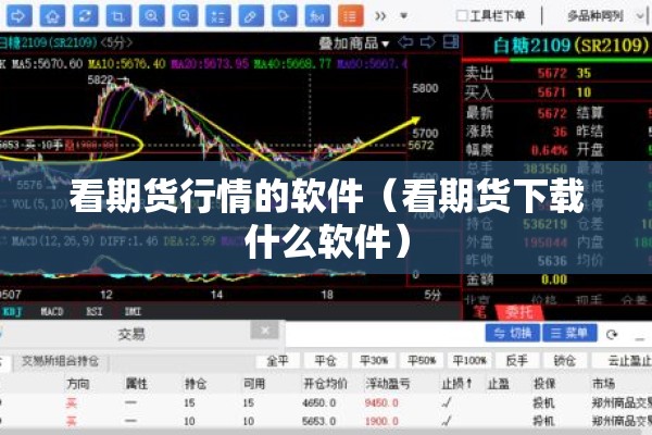 看期货行情的软件（看期货下载什么软件）