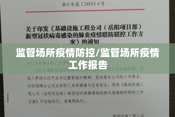 监管场所疫情防控/监管场所疫情工作报告