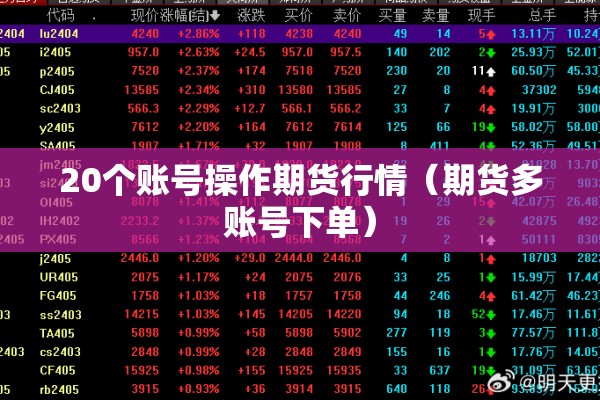 20个账号操作期货行情(期货多账号下单) 20个账号操作期货行情(期货多账号下单)