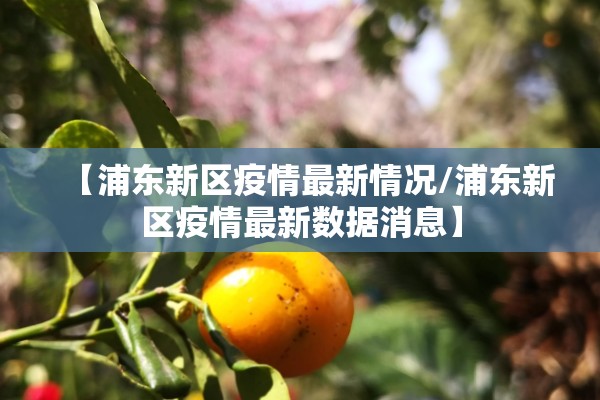【浦东新区疫情最新情况/浦东新区疫情最新数据消息】 【浦东新区疫情最新情况/浦东新区疫情最新数据消息】