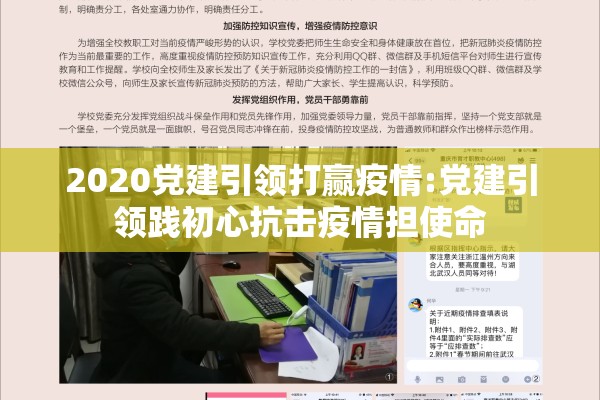 2020党建引领打赢疫情:党建引领践初心抗击疫情担使命