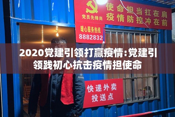 2020党建引领打赢疫情:党建引领践初心抗击疫情担使命