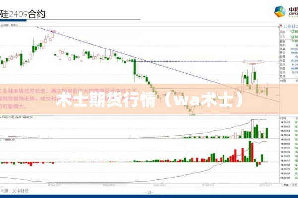 术士期货行情（wa术士）