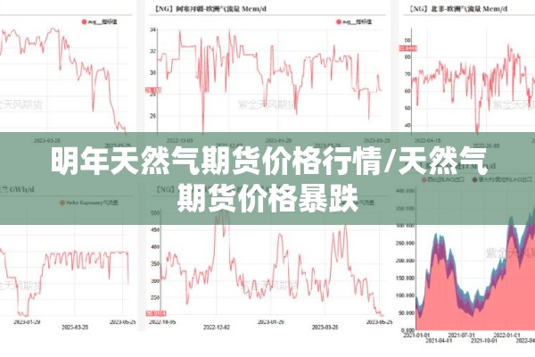 明年天然气期货价格行情/天然气期货价格暴跌 明年天然气期货价格行情/天然气期货价格暴跌
