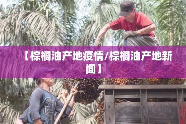 【棕榈油产地疫情/棕榈油产地新闻】 【棕榈油产地疫情/棕榈油产地新闻】