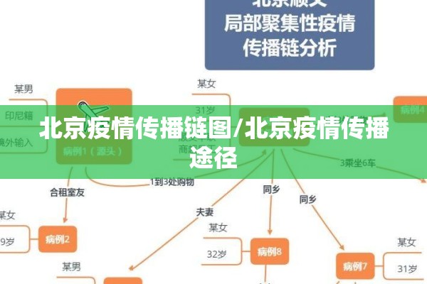 北京疫情传播链图/北京疫情传播途径 北京疫情传播链图/北京疫情传播途径