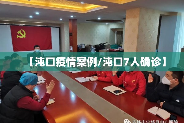 【沌口疫情案例/沌口7人确诊】 【沌口疫情案例/沌口7人确诊】