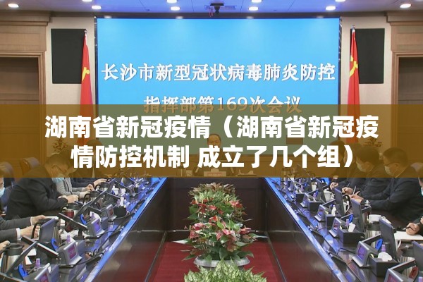 湖南省新冠疫情(湖南省新冠疫情防控机制 成立了几个组) 湖南省新冠疫情(湖南省新冠疫情防控机制 成立了几个组)