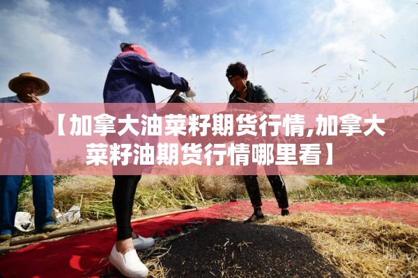 【加拿大油菜籽期货行情,加拿大菜籽油期货行情哪里看】 【加拿大油菜籽期货行情,加拿大菜籽油期货行情哪里看】