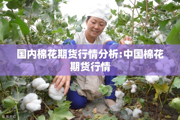 国内棉花期货行情分析:中国棉花期货行情