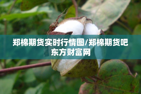 郑棉期货实时行情图/郑棉期货吧东方财富网