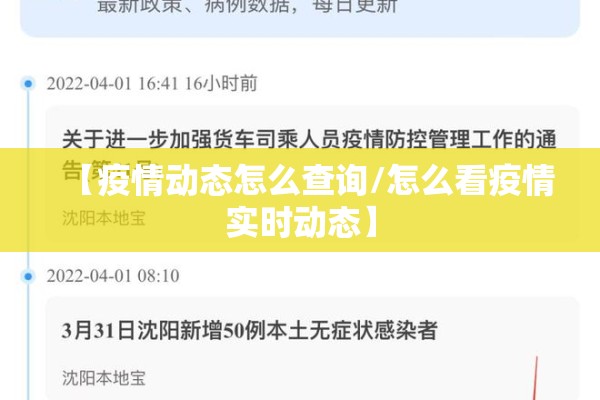 【疫情动态怎么查询/怎么看疫情实时动态】 【疫情动态怎么查询/怎么看疫情实时动态】