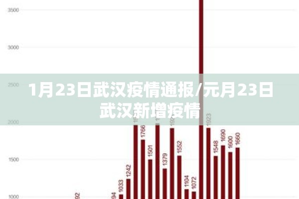 1月23日武汉疫情通报/元月23日武汉新增疫情 1月23日武汉疫情通报/元月23日武汉新增疫情