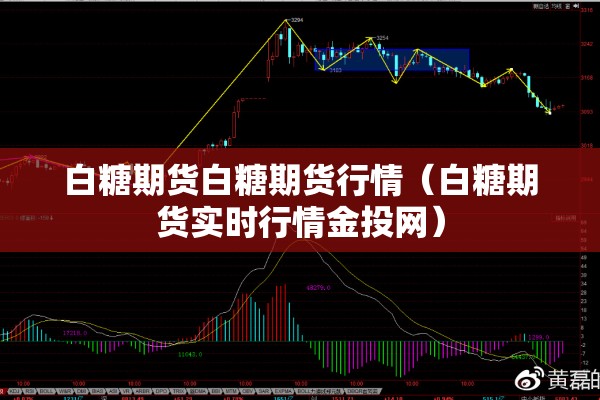 白糖期货白糖期货行情（白糖期货实时行情金投网）