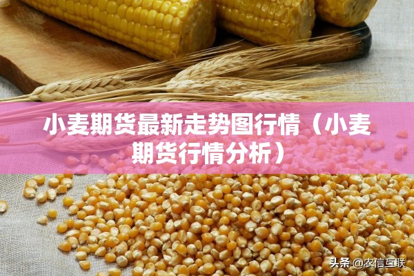 小麦期货最新走势图行情(小麦期货行情分析) 小麦期货最新走势图行情(小麦期货行情分析)